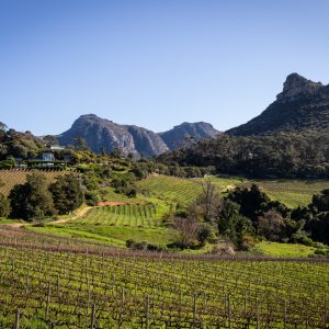 South African Journey